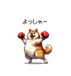 ボクサーふとっちょ柴犬（個別スタンプ：34）