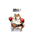 ボクサーふとっちょ柴犬（個別スタンプ：36）