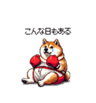 ボクサーふとっちょ柴犬（個別スタンプ：37）