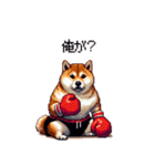 ボクサーふとっちょ柴犬（個別スタンプ：40）