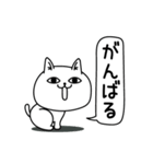 じろりねこ挨拶毎日送れる（個別スタンプ：3）