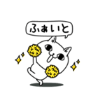 じろりねこ挨拶毎日送れる（個別スタンプ：4）