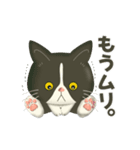ハチワレコンビのメンタル限界日誌（個別スタンプ：1）