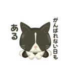 ハチワレコンビのメンタル限界日誌（個別スタンプ：3）