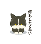 ハチワレコンビのメンタル限界日誌（個別スタンプ：5）