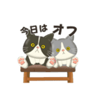 ハチワレコンビのメンタル限界日誌（個別スタンプ：13）