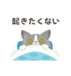 ハチワレコンビのメンタル限界日誌（個別スタンプ：16）