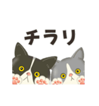 ハチワレコンビのメンタル限界日誌（個別スタンプ：17）