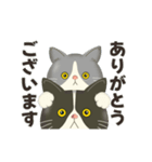 ハチワレコンビのメンタル限界日誌（個別スタンプ：19）