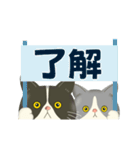 ハチワレコンビのメンタル限界日誌（個別スタンプ：20）
