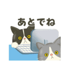 ハチワレコンビのメンタル限界日誌（個別スタンプ：23）