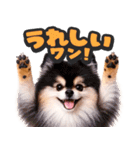飛び出す★わんこ（個別スタンプ：3）