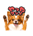 飛び出す★わんこ（個別スタンプ：6）