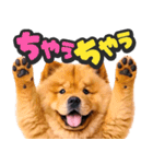 飛び出す★わんこ（個別スタンプ：21）