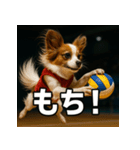 パピヨンバレー（個別スタンプ：4）