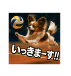 パピヨンバレー（個別スタンプ：34）