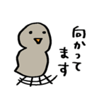 簡易スタンプ＊開運？自由なトリ（個別スタンプ：30）