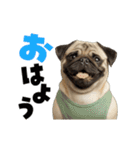 動く！デカ文字パグ（個別スタンプ：6）