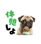動く！デカ文字パグ（個別スタンプ：9）