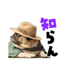 動く！デカ文字パグ（個別スタンプ：22）