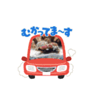 モナちゃん動画（個別スタンプ：15）