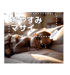 <超使える>マサイ族のませガキ メッセージ（個別スタンプ：16）