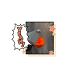 akagiヘラクレス（個別スタンプ：3）