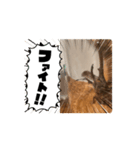 akagiヘラクレス（個別スタンプ：4）