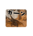 akagiヘラクレス（個別スタンプ：6）