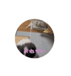 もふの言うとおり（個別スタンプ：7）