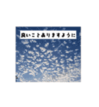 柴犬くん。（個別スタンプ：12）
