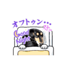 チョコちゃん  2つ目（個別スタンプ：7）