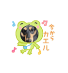 チョコちゃん  2つ目（個別スタンプ：14）