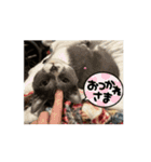すみやんちの日常（個別スタンプ：2）
