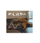 すみやんちの日常（個別スタンプ：4）