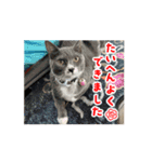 すみやんちの日常（個別スタンプ：5）
