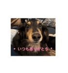 すみやんちの日常（個別スタンプ：12）