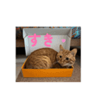 すみやんちの日常（個別スタンプ：14）
