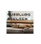 すみやんちの日常（個別スタンプ：15）