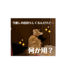 すみやんちの日常（個別スタンプ：16）