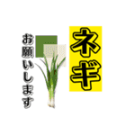 主婦・主夫向け おつかい【調味料】編（個別スタンプ：34）