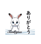 動く北の白うさぎ日本語と英語で楽しもう！（個別スタンプ：1）