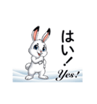 動く北の白うさぎ日本語と英語で楽しもう！（個別スタンプ：2）