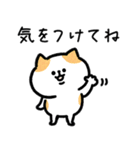 家族連絡‗毎日送りやすい脱力猫さんの日常（個別スタンプ：2）