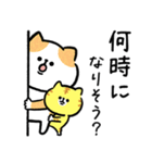 家族連絡‗毎日送りやすい脱力猫さんの日常（個別スタンプ：13）