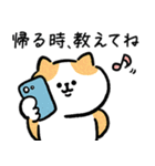 家族連絡‗毎日送りやすい脱力猫さんの日常（個別スタンプ：14）