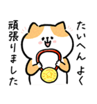 家族連絡‗毎日送りやすい脱力猫さんの日常（個別スタンプ：37）