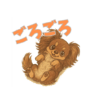 元気いっぱい★チョコタンチワワ（個別スタンプ：3）