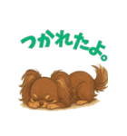 元気いっぱい★チョコタンチワワ（個別スタンプ：7）