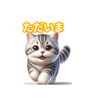 とにかくかわいいアメリカンワイヤーヘアー（個別スタンプ：9）
